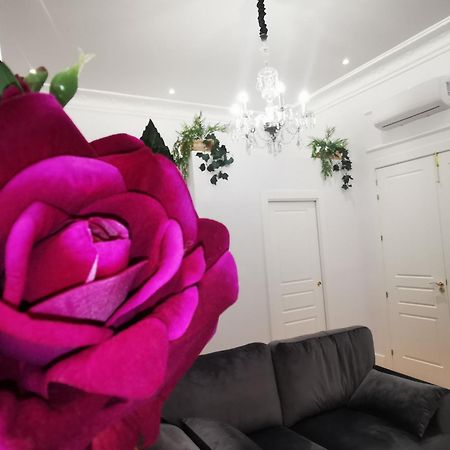Rua Suites Boutique Σαλαμάνκα Δωμάτιο φωτογραφία